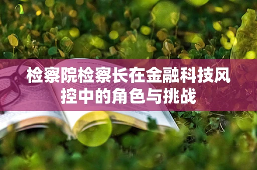 检察院检察长在金融科技风控中的角色与挑战