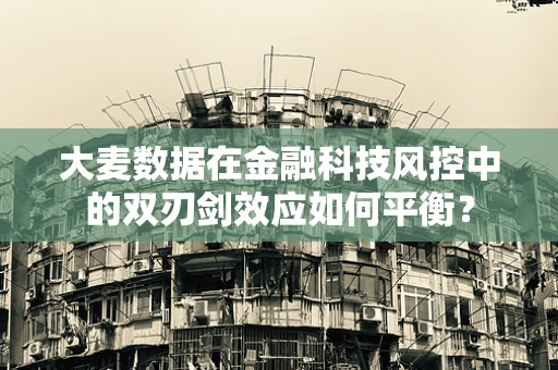 大麦数据在金融科技风控中的双刃剑效应如何平衡？