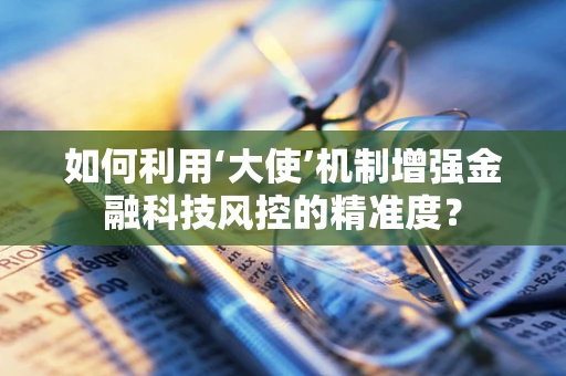 如何利用‘大使’机制增强金融科技风控的精准度？