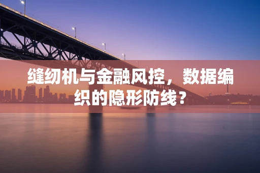 缝纫机与金融风控，数据编织的隐形防线？