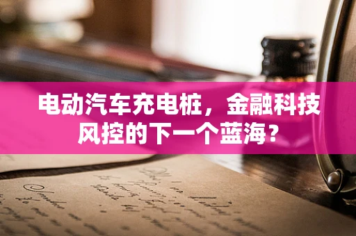 电动汽车充电桩，金融科技风控的下一个蓝海？