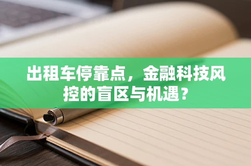 出租车停靠点，金融科技风控的盲区与机遇？