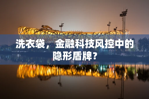 洗衣袋，金融科技风控中的隐形盾牌？