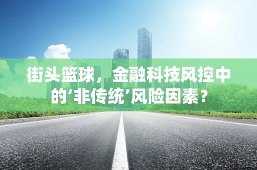 街头篮球，金融科技风控中的‘非传统’风险因素？