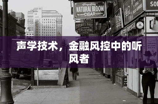 声学技术，金融风控中的听风者