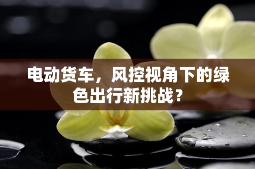 电动货车，风控视角下的绿色出行新挑战？