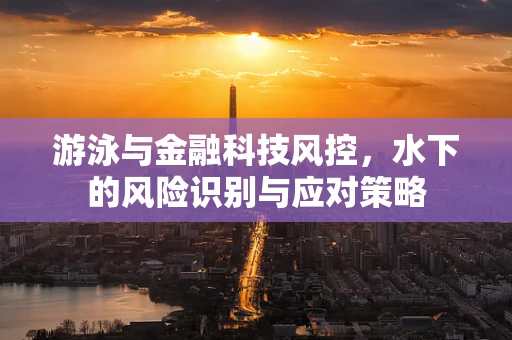 游泳与金融科技风控，水下的风险识别与应对策略