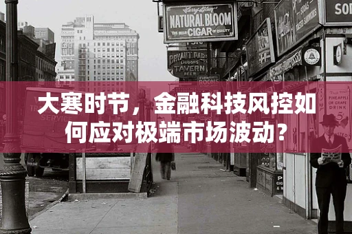 大寒时节，金融科技风控如何应对极端市场波动？