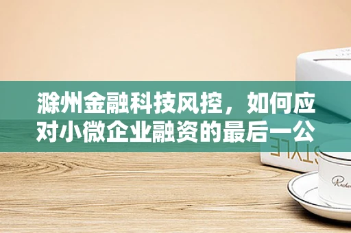 滁州金融科技风控，如何应对小微企业融资的最后一公里？