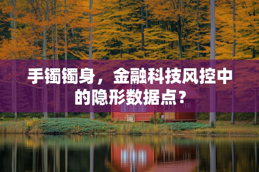 手镯镯身，金融科技风控中的隐形数据点？