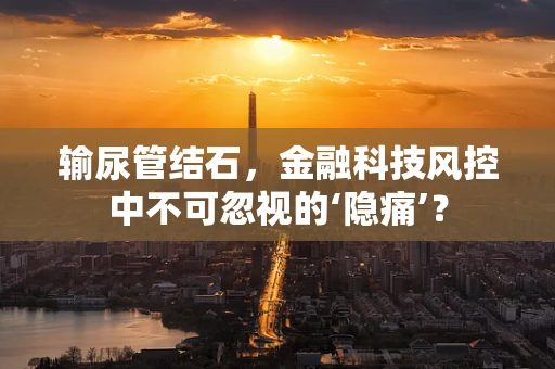 输尿管结石，金融科技风控中不可忽视的‘隐痛’？