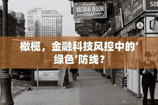 橄榄，金融科技风控中的‘绿色’防线？