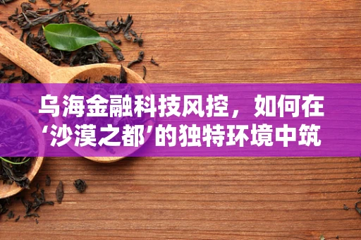 乌海金融科技风控，如何在‘沙漠之都’的独特环境中筑起安全防线？