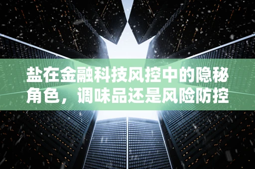 盐在金融科技风控中的隐秘角色，调味品还是风险防控的‘秘籍’？