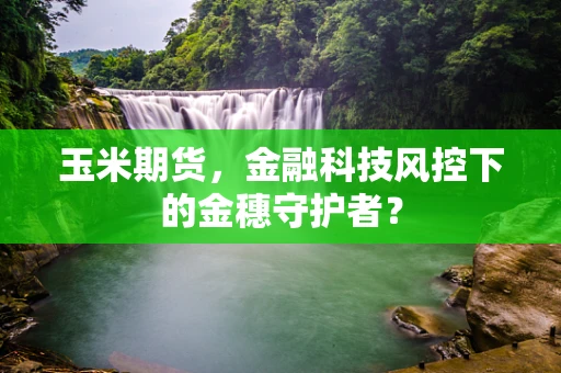 玉米期货，金融科技风控下的金穗守护者？