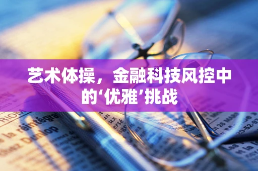 艺术体操，金融科技风控中的‘优雅’挑战
