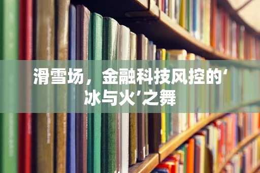 滑雪场，金融科技风控的‘冰与火’之舞