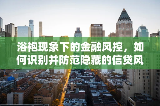 浴袍现象下的金融风控，如何识别并防范隐藏的信贷风险？