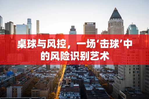 桌球与风控，一场‘击球’中的风险识别艺术