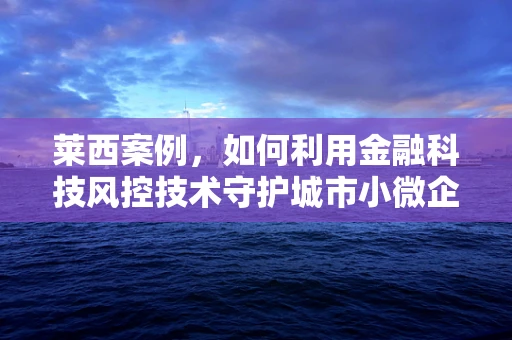 莱西案例，如何利用金融科技风控技术守护城市小微企业的钱袋子？