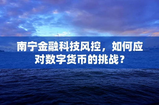 南宁金融科技风控，如何应对数字货币的挑战？