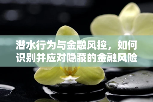 潜水行为与金融风控，如何识别并应对隐藏的金融风险？