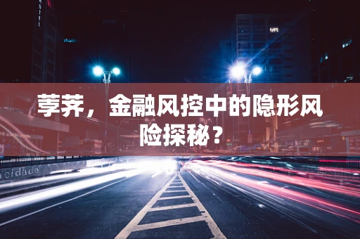 荸荠，金融风控中的隐形风险探秘？