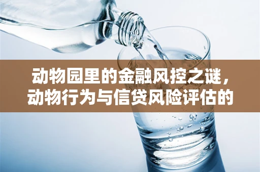 动物园里的金融风控之谜，动物行为与信贷风险评估的异曲同工？