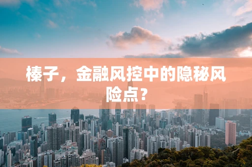 榛子，金融风控中的隐秘风险点？