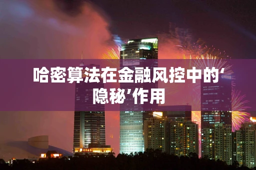 哈密算法在金融风控中的‘隐秘’作用