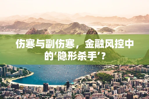 伤寒与副伤寒，金融风控中的‘隐形杀手’？