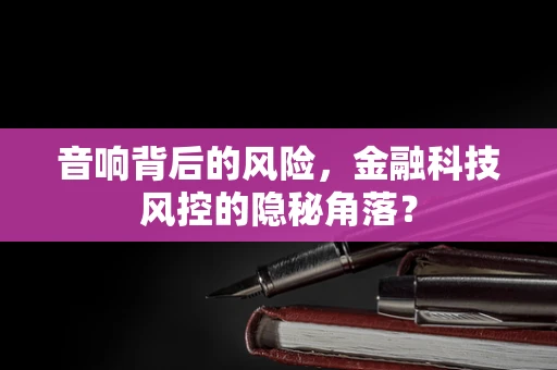 音响背后的风险，金融科技风控的隐秘角落？