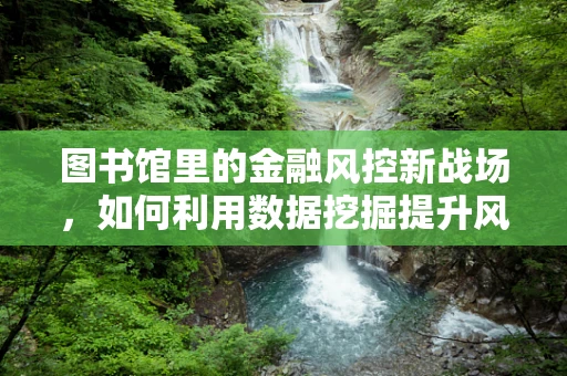 图书馆里的金融风控新战场，如何利用数据挖掘提升风险防控？