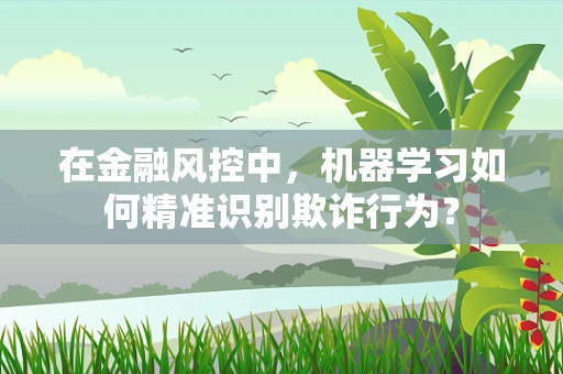 在金融风控中，机器学习如何精准识别欺诈行为？