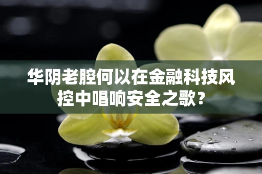 华阴老腔何以在金融科技风控中唱响安全之歌？