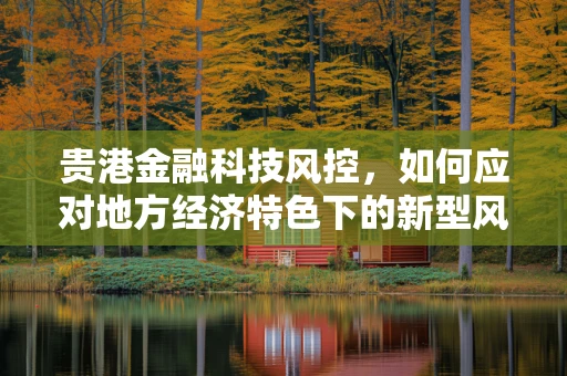 贵港金融科技风控，如何应对地方经济特色下的新型风险？
