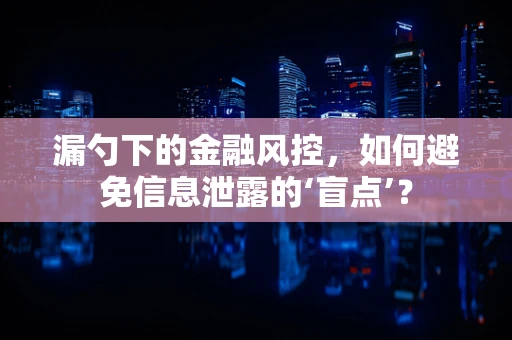 漏勺下的金融风控，如何避免信息泄露的‘盲点’？