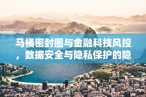 马桶密封圈与金融科技风控，数据安全与隐私保护的隐秘联系