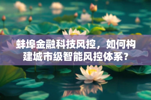 蚌埠金融科技风控，如何构建城市级智能风控体系？