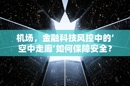 机场，金融科技风控中的‘空中走廊’如何保障安全？