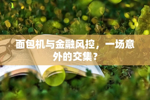面包机与金融风控，一场意外的交集？