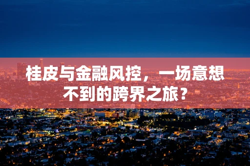 桂皮与金融风控，一场意想不到的跨界之旅？