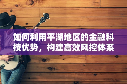 如何利用平湖地区的金融科技优势，构建高效风控体系？