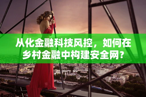 从化金融科技风控，如何在乡村金融中构建安全网？
