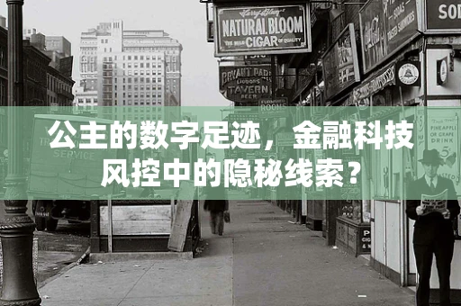 公主的数字足迹，金融科技风控中的隐秘线索？