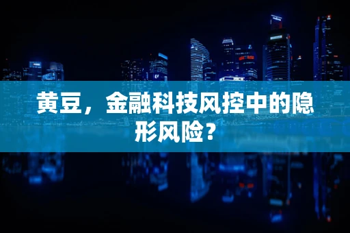黄豆，金融科技风控中的隐形风险？