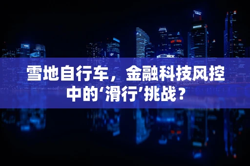 雪地自行车，金融科技风控中的‘滑行’挑战？