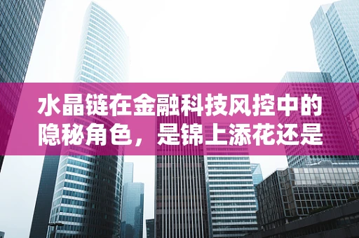 水晶链在金融科技风控中的隐秘角色，是锦上添花还是画蛇添足？