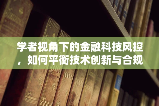 学者视角下的金融科技风控，如何平衡技术创新与合规监管？