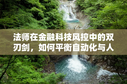 法师在金融科技风控中的双刃剑，如何平衡自动化与人工智慧？
